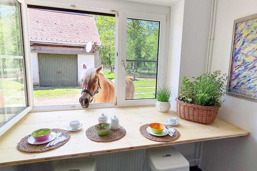 Cosy Family Apartment Reichenau Exterior foto